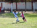 LVBF9FC2013 071