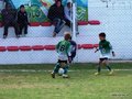 LVBF9FC2013 015