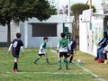 LVBF9FC2013 025