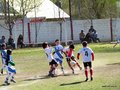 LVBF9FC2013 052