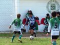 LVBF9FC2013 013