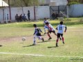 LVBF9FC2013 054