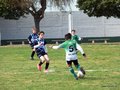 LVBF9FC2013 024