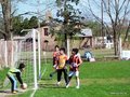 LVBF9FC2013 086