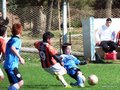 LVBF9FC2013 095