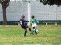 LVBF9FC2013 028