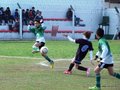LVBF9FC2013 010
