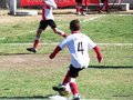LVBF9FC2013 063