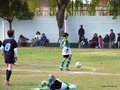 LVBF9FC2013 018