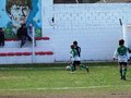 LVBF9FC2013 014