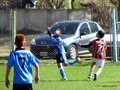 LVBF9FC2013 107