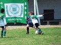 LVBF9FC2013 022