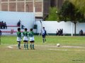 LVBF9FC2013 007
