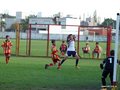 P1520290