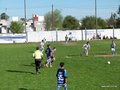 P1550294