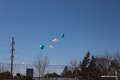 IMG_6766