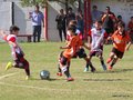 IMG_5745