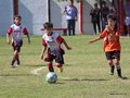 IMG_5748
