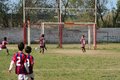 IMG_8945