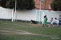 IMG_9489