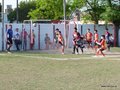 P1620387