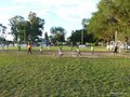 P1620695