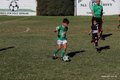 IMG_6219