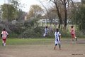IMG_7122