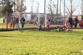 IMG_7690