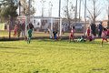 IMG_7688