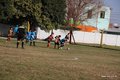 IMG_7954
