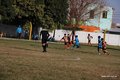 IMG_7950