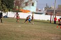 IMG_7958
