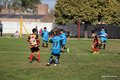 IMG_7973
