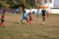 IMG_7992