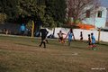 IMG_7951