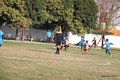 IMG_7952