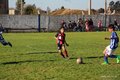 IMG_8645
