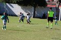 IMG_3446