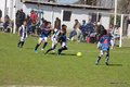 IMG_0919