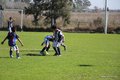 IMG_0964