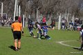 IMG_0937
