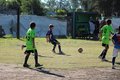 IMG_3993
