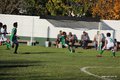 IMG_5517