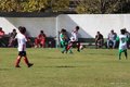 IMG_1467