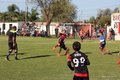 IMG_1496