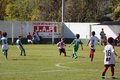 IMG_1441