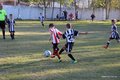 IMG_1739