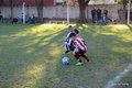 IMG_1731