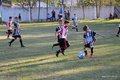 IMG_1725
